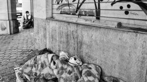 Offre d'emploi : psychologue